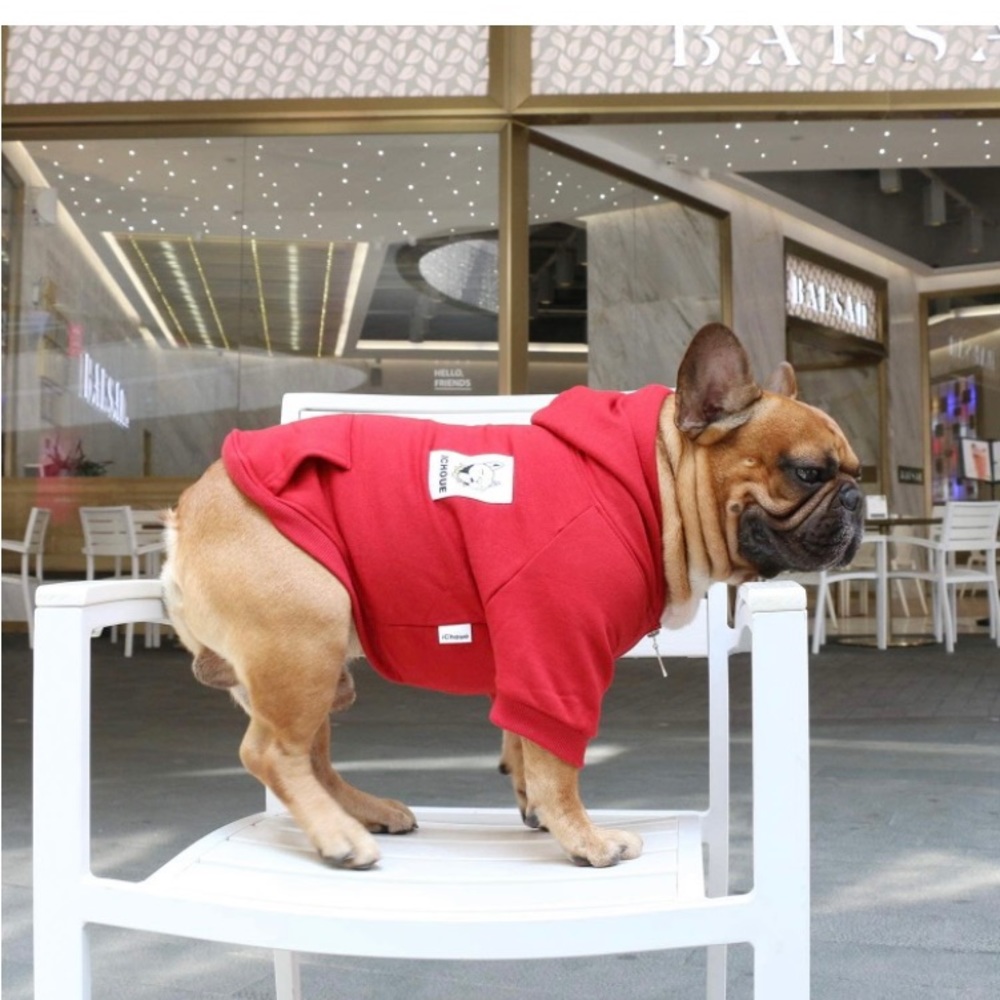 Red Hoodie for dogs - Picture 5 of 9